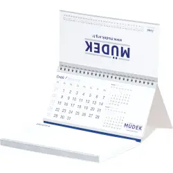 AMT-11 Yapışkan Notluklu Özel Takvim - 3