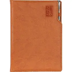 Başakşehir Günlük Ajanda - 1