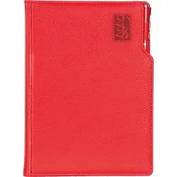 Başakşehir Günlük Ajanda - 1