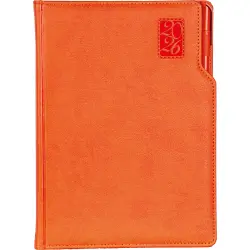 Başakşehir Günlük Ajanda - 1