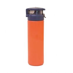 Cam Şişe 550 ml - 4