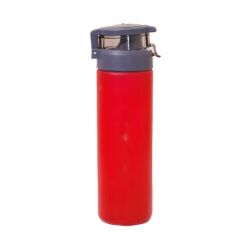 Cam Şişe 550 ml - 6
