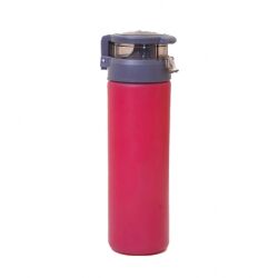 Cam Şişe 550 ml - 14