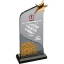 EKT-101 Kristal Plaket - 1