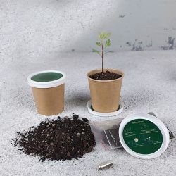  - Mini Kraft Saksı