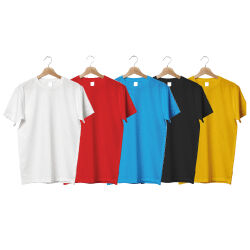 TS501 - 1