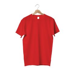 TS601 - 5