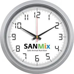 V30-551 Plastik Duvar Saati - 1